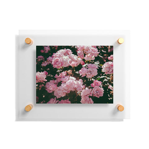 Hannah Kemp Light Pink Roses Floating Acrylic Print