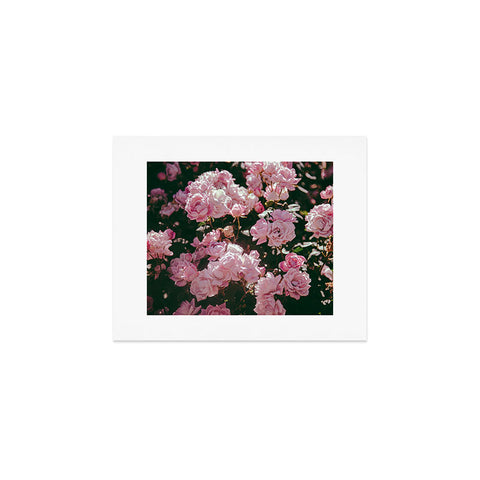 Hannah Kemp Light Pink Roses Art Print