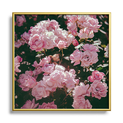 Hannah Kemp Light Pink Roses Square Metal Framed Art Print