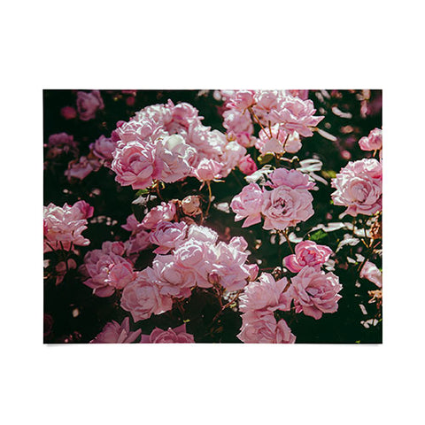 Hannah Kemp Light Pink Roses Poster
