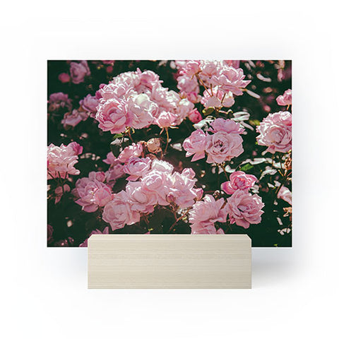 Hannah Kemp Light Pink Roses Mini Art Print