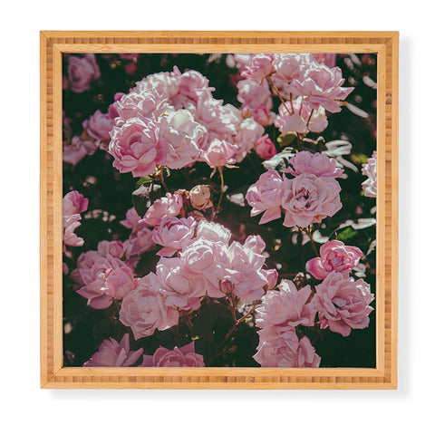 Hannah Kemp Light Pink Roses Framed Wall Art