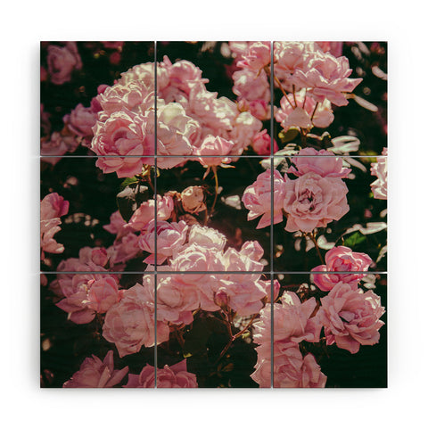 Hannah Kemp Light Pink Roses Wood Wall Mural