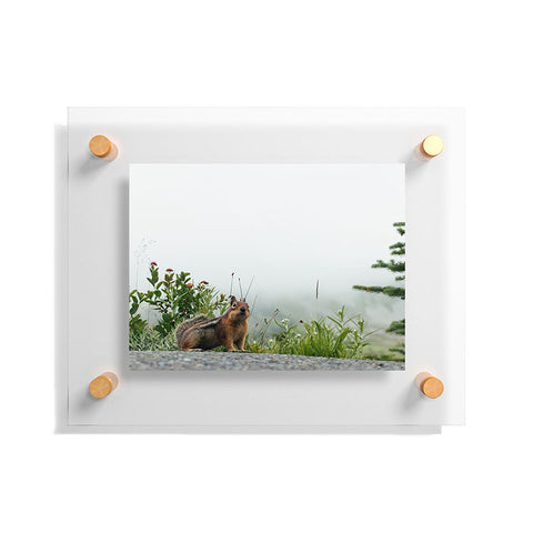 Hannah Kemp Little Chipmunk Floating Acrylic Print