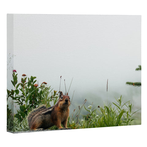 Hannah Kemp Little Chipmunk Art Canvas