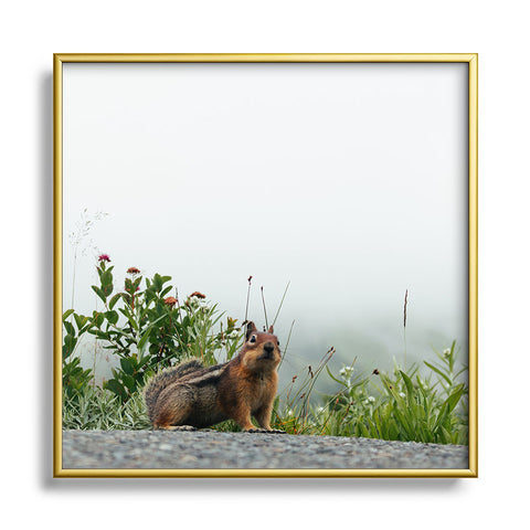 Hannah Kemp Little Chipmunk Square Metal Framed Art Print