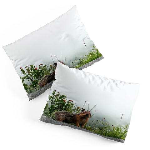 Hannah Kemp Little Chipmunk Pillow Shams