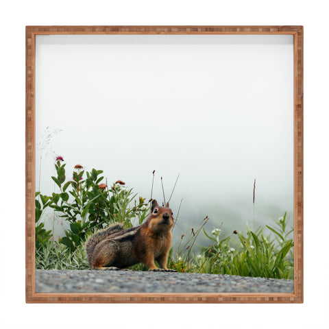 Hannah Kemp Little Chipmunk Square Tray