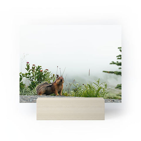 Hannah Kemp Little Chipmunk Mini Art Print