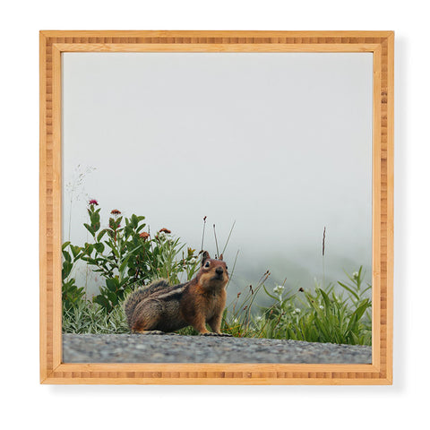 Hannah Kemp Little Chipmunk Framed Wall Art
