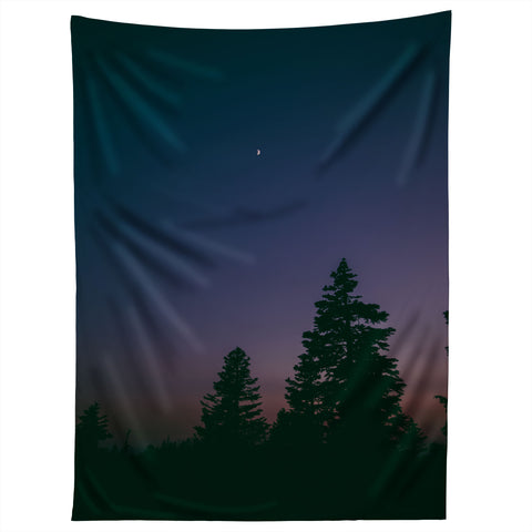 Hannah Kemp Little Moon Tapestry