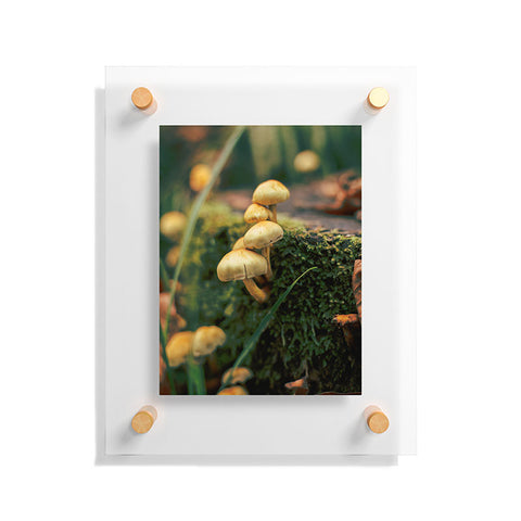 Hannah Kemp Little Mushrooms Photo Floating Acrylic Print