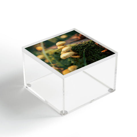 Hannah Kemp Little Mushrooms Photo Acrylic Box