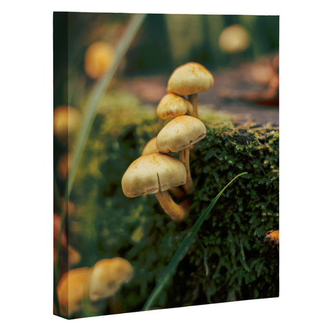 Hannah Kemp Little Mushrooms Photo Art Canvas