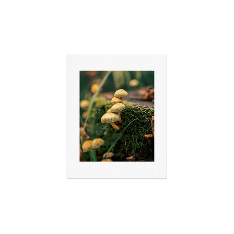 Hannah Kemp Little Mushrooms Photo Art Print
