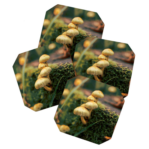 Hannah Kemp Little Mushrooms Photo Coaster Set
