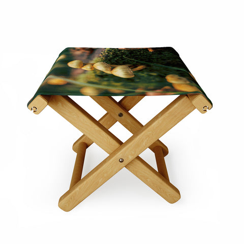 Hannah Kemp Little Mushrooms Photo Folding Stool
