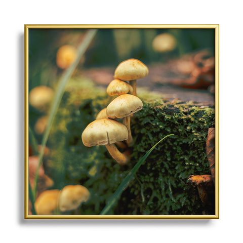 Hannah Kemp Little Mushrooms Photo Square Metal Framed Art Print