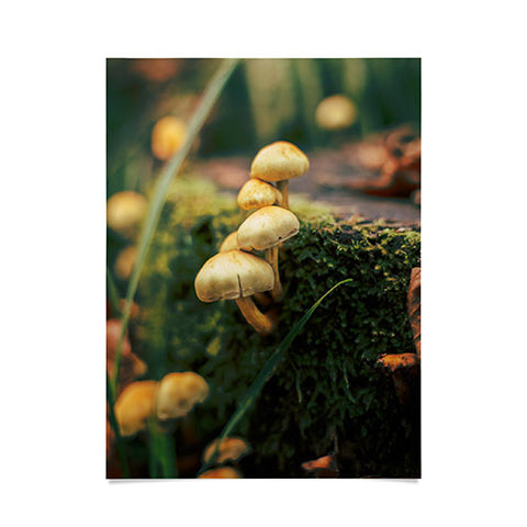 Hannah Kemp Little Mushrooms Photo Poster