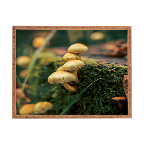 Hannah Kemp Little Mushrooms Photo Rectangular Tray