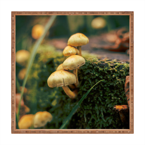 Hannah Kemp Little Mushrooms Photo Square Tray