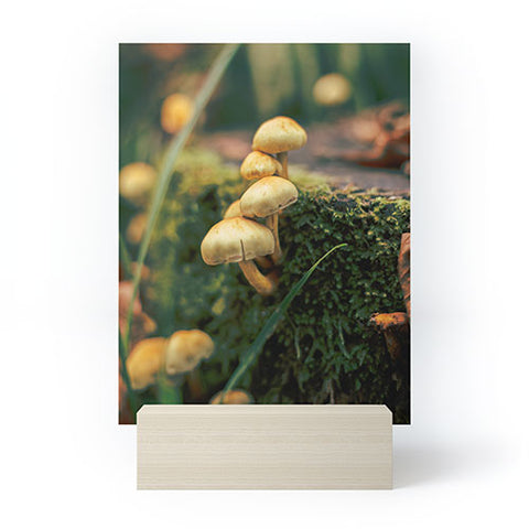Hannah Kemp Little Mushrooms Photo Mini Art Print