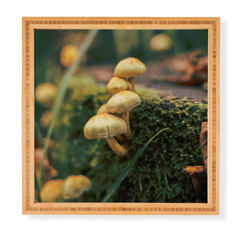 Hannah Kemp Little Mushrooms Photo Framed Wall Art