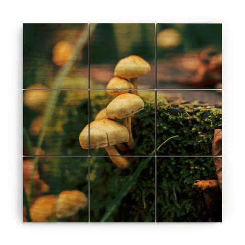 Hannah Kemp Little Mushrooms Photo Wood Wall Mural