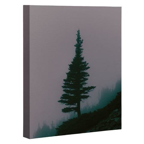 Hannah Kemp Lone Tree Art Canvas