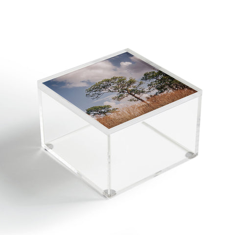 Hannah Kemp Longleaf Pine Acrylic Box