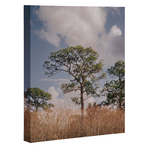 Hannah Kemp Longleaf Pine Art Canvas