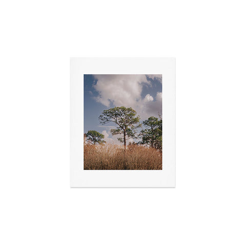 Hannah Kemp Longleaf Pine Art Print