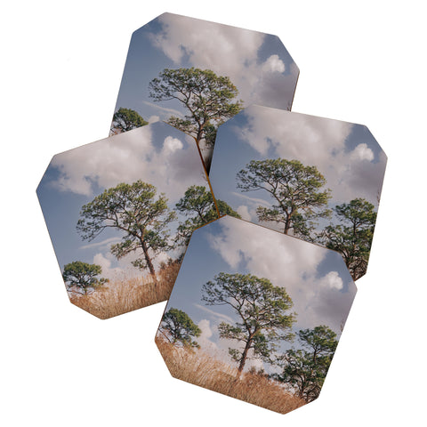 Hannah Kemp Longleaf Pine Coaster Set