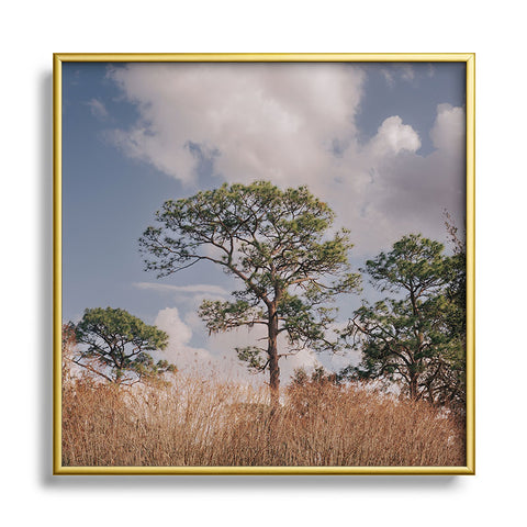 Hannah Kemp Longleaf Pine Square Metal Framed Art Print