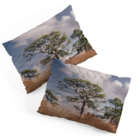 Hannah Kemp Longleaf Pine Pillow Shams