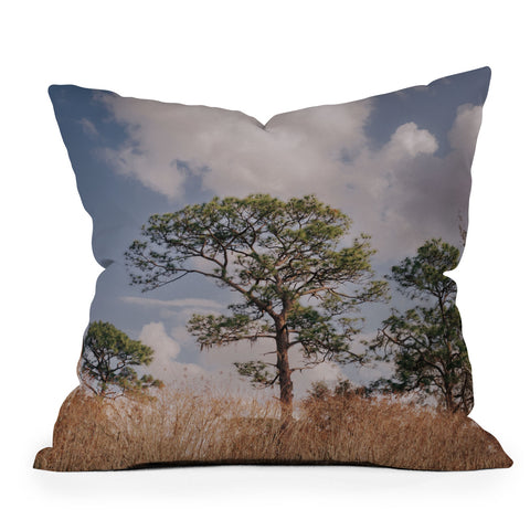 Hannah Kemp Longleaf Pine Outdoor Throw Pillow