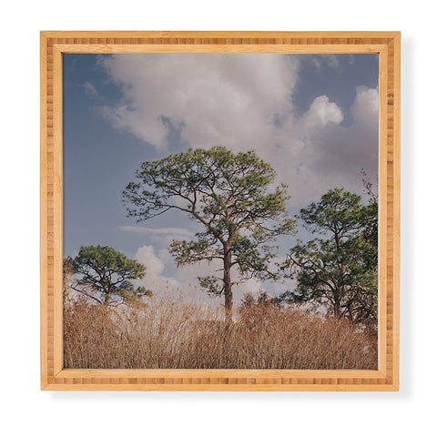 Hannah Kemp Longleaf Pine Framed Wall Art