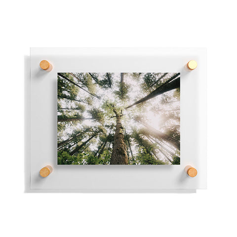 Hannah Kemp Looking Up Floating Acrylic Print