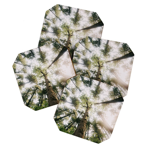 Hannah Kemp Looking Up Coaster Set