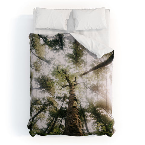 Hannah Kemp Looking Up Comforter