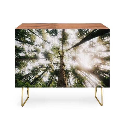 Hannah Kemp Looking Up Credenza