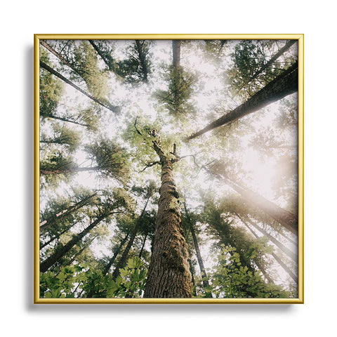 Hannah Kemp Looking Up Square Metal Framed Art Print