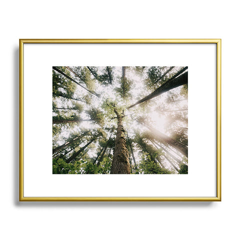 Hannah Kemp Looking Up Metal Framed Art Print