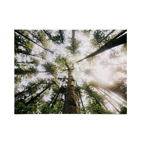 Hannah Kemp Looking Up Poster