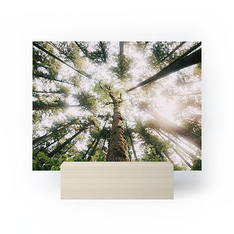 Hannah Kemp Looking Up Mini Art Print