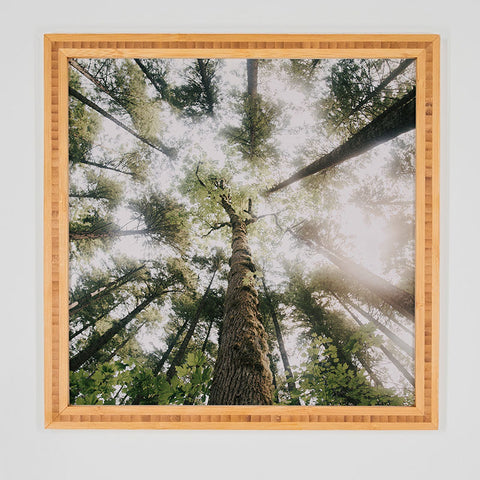 Hannah Kemp Looking Up Framed Wall Art