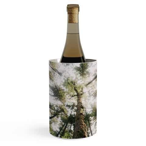 Hannah Kemp Looking Up Wine Chiller