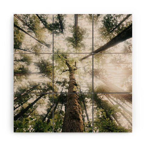 Hannah Kemp Looking Up Wood Wall Mural