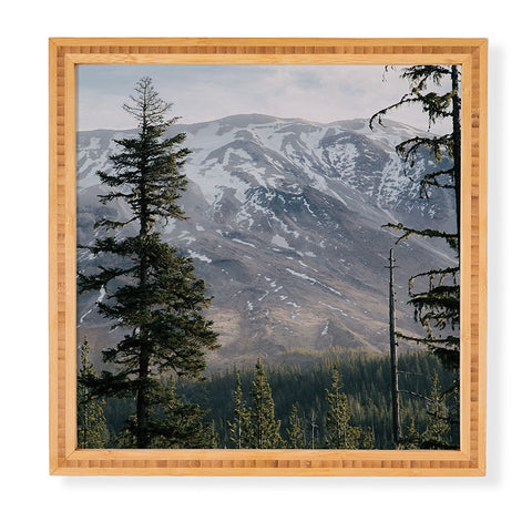 Hannah Kemp Loowit Framed Wall Art