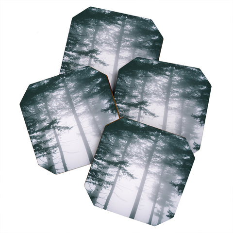 Hannah Kemp Moody Forest II Coaster Set